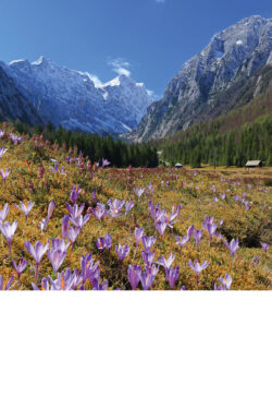 Koledar Alpe Slovenije 2027