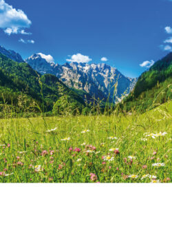 Koledar Alpe Slovenije 2027