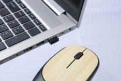 Brezžična miška z bambusovimi detajli Eile