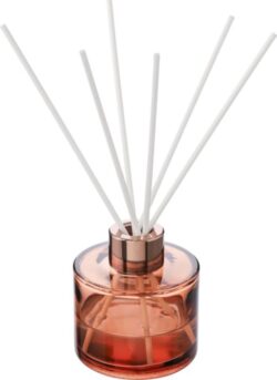 Steklen difuzor (100 ml) s šestimi palčkami