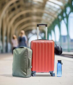 Potovalni kovček Alaric