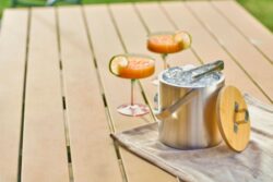 Vedro za led z kleščami