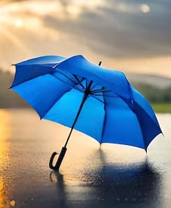 Windproof dežnik
