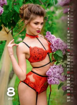 Koledar Sexy girls 2027
